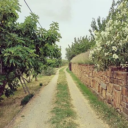 Nada Apartamento Izola